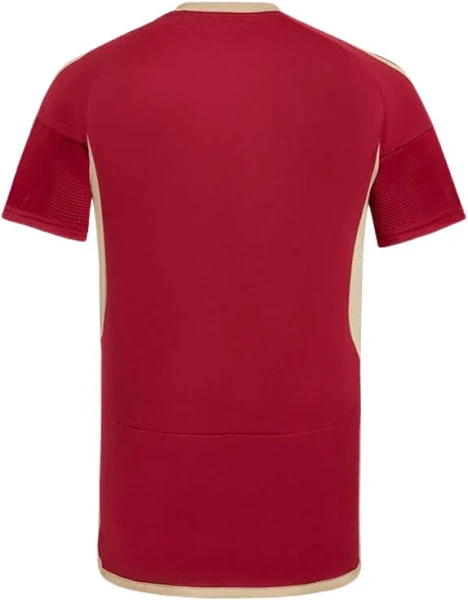 Venezuela Home Kit 24/25